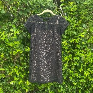 Loft black lace dress